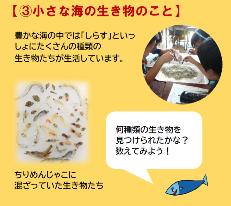 学べる6つの食育ポイント3